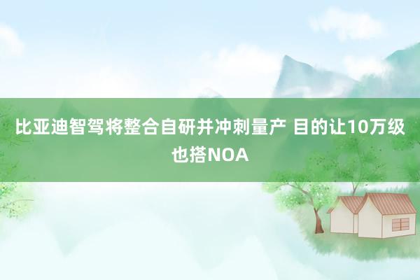 比亚迪智驾将整合自研并冲刺量产 目的让10万级也搭NOA