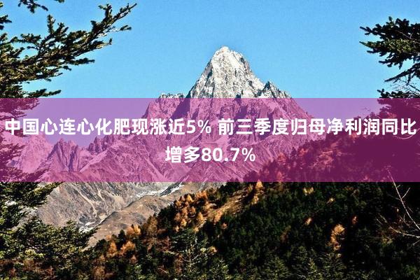 中国心连心化肥现涨近5% 前三季度归母净利润同比增多80.7%