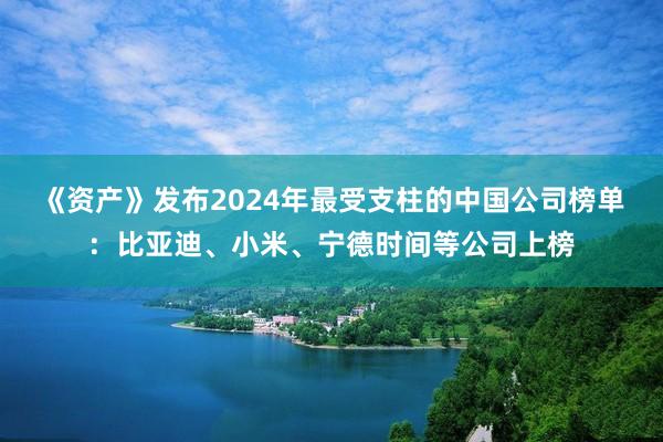 《资产》发布2024年最受支柱的中国公司榜单：比亚迪、小米、宁德时间等公司上榜