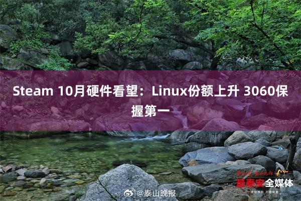 Steam 10月硬件看望：Linux份额上升 3060保握第一